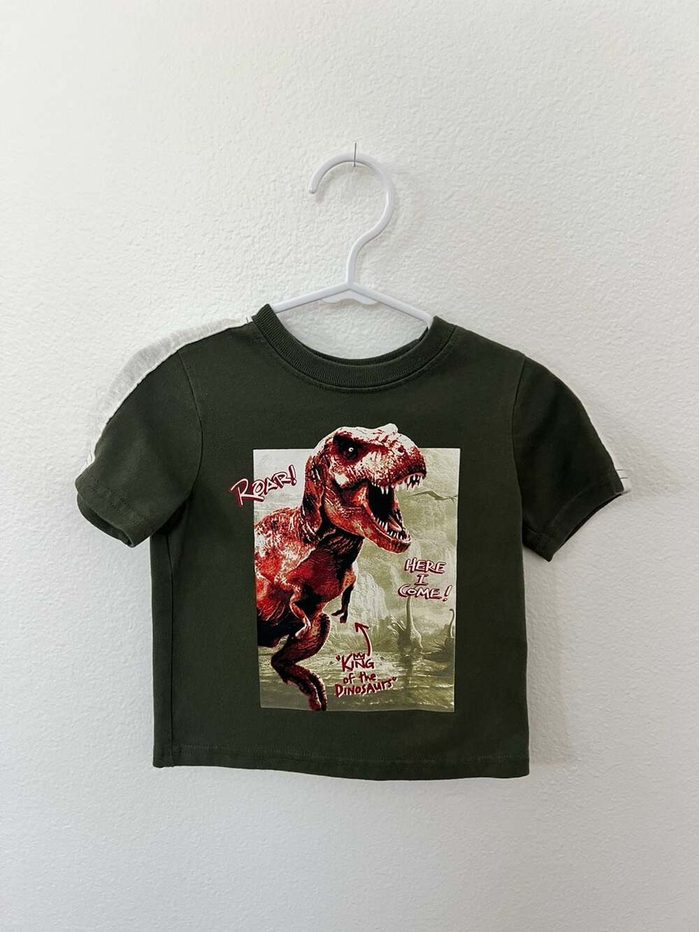 Garanimals Toddler Boys Olive Green Dinosaur 'King of the Dinosaurs'  T-Shirt